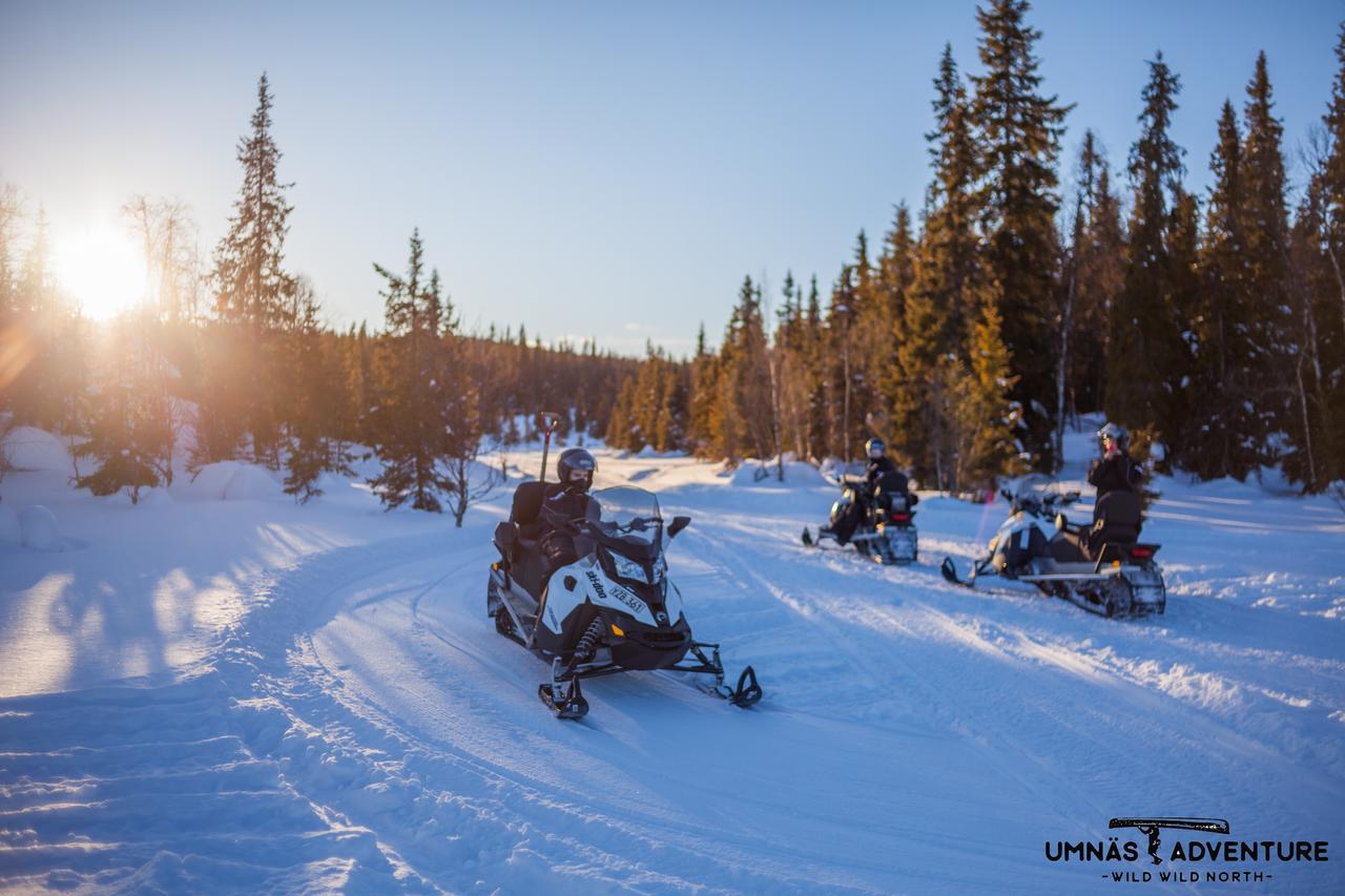 Umnas Adventure Hotel Storuman Dış mekan fotoğraf