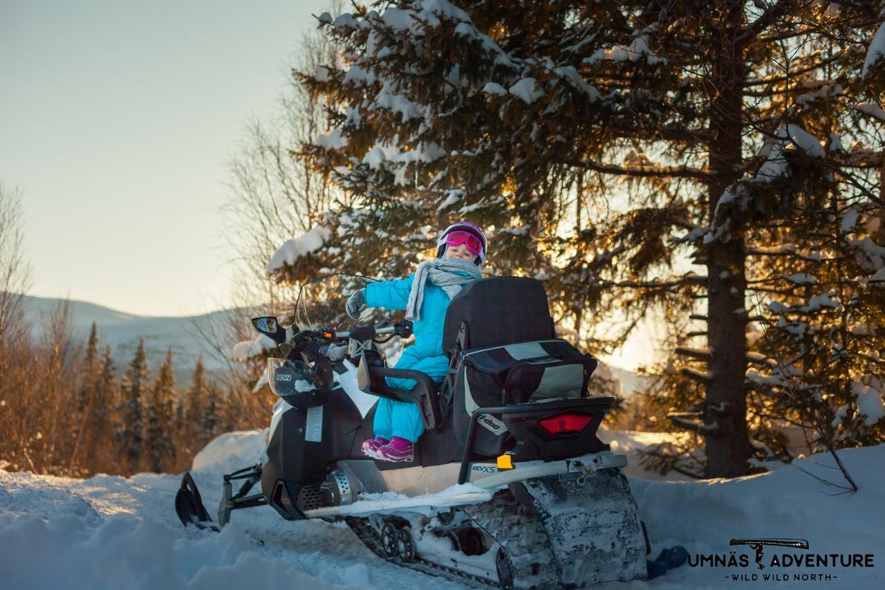 Umnas Adventure Hotel Storuman Dış mekan fotoğraf